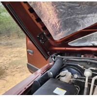Thar Bonnet Shockers