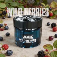 Lava Stone | Natural, Long-Lasting Car Perfume – Royal Udh | Premium Car Perfumes Upgrade
